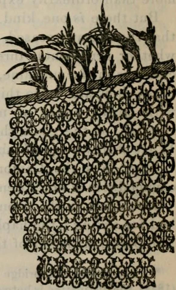 An illustration from Fors clavigera : letters to the workmen and labourers of Great Britain, 1886, leaf 26