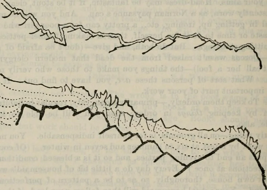 An illustration from Fors clavigera : letters to the workmen and labourers of Great Britain, 1886, leaf 534