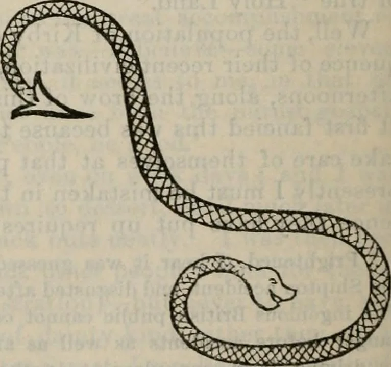 An illustration from Fors clavigera : letters to the workmen and labourers of Great Britain, 1886, leaf 816