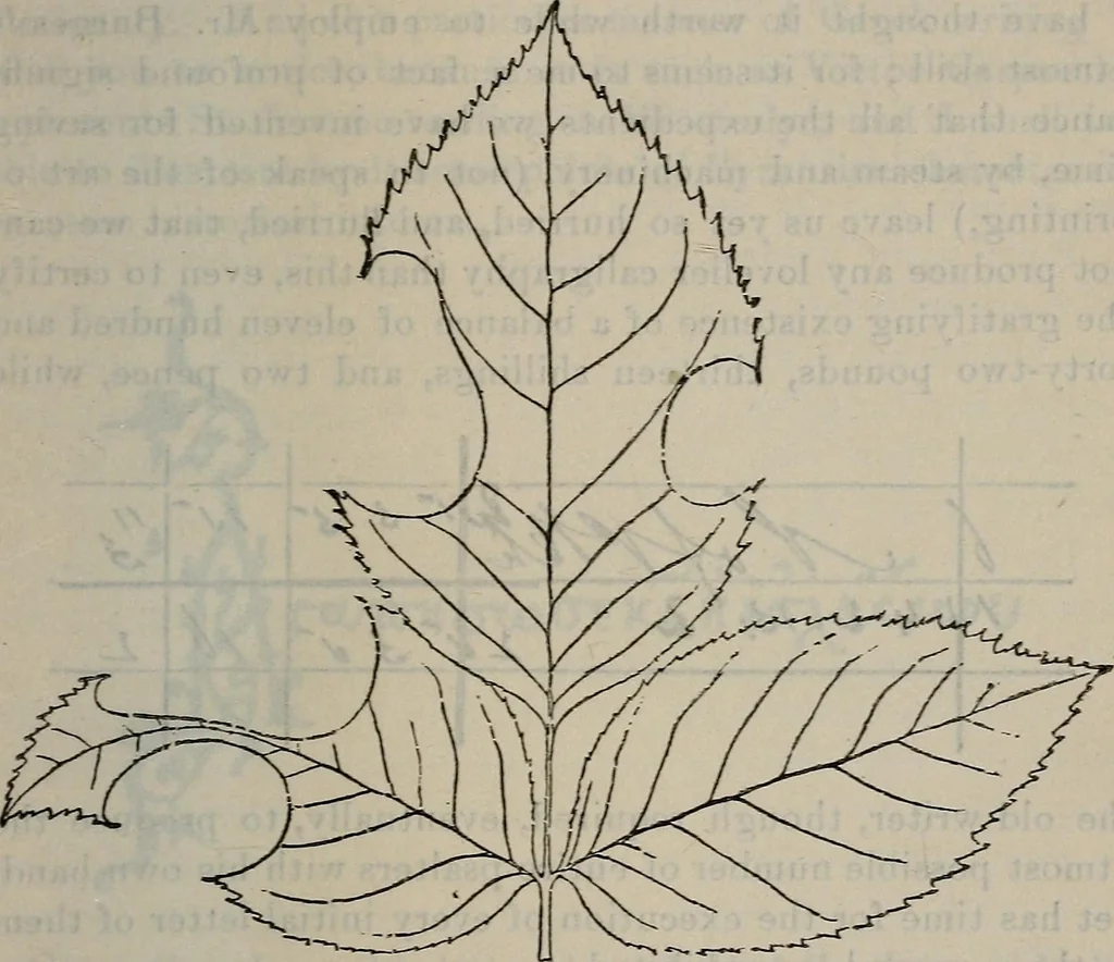 An illustration from Fors clavigera : letters to the workmen and labourers of Great Britain : Volume 3 & 4, 1886, leaf 108