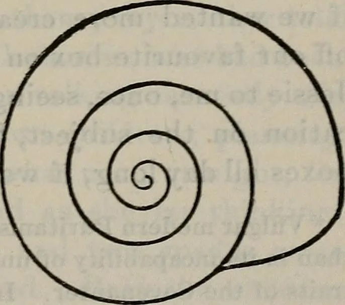 An illustration from Fors clavigera : letters to the workmen and labourers of Great Britain : Volume 3 & 4, 1886, leaf 208