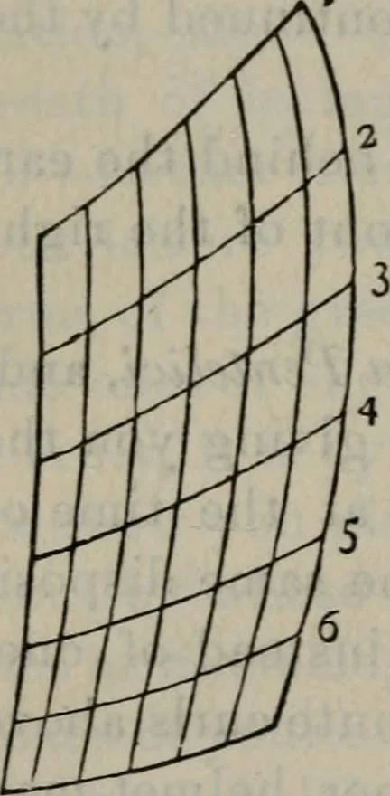 An illustration from Fors clavigera : letters to the workmen and labourers of Great Britain : Volume 3 & 4, 1886, leaf 475