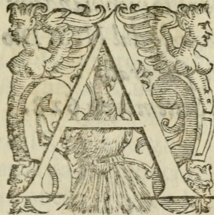 An illustration from Fortezza reale del cuore humano : battuta soauemente, saettata amorosamente, superata gloriosamente, e posseduta & ornata gratiosamente dall' amoroso Giesù : disegnata in figure con alcune brieui ma affettuose meditationi et altri tanti soliloquij, 1628, leaf 10