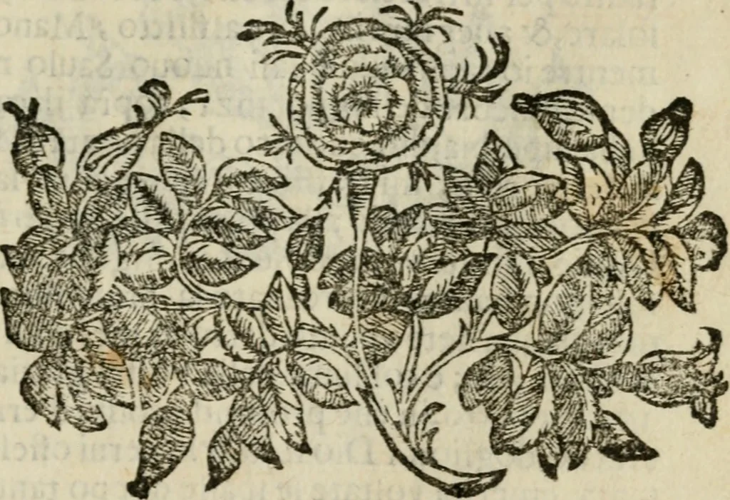 An illustration from Fortezza reale del cuore humano : battuta soauemente, saettata amorosamente, superata gloriosamente, e posseduta & ornata gratiosamente dall' amoroso Giesù : disegnata in figure con alcune brieui ma affettuose meditationi et altri tanti soliloquij, 1628, leaf 102