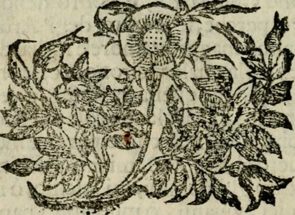 An illustration from Fortezza reale del cuore humano : battuta soauemente, saettata amorosamente, superata gloriosamente, e posseduta & ornata gratiosamente dall' amoroso Giesù : disegnata in figure con alcune brieui ma affettuose meditationi et altri tanti soliloquij, 1628, leaf 113
