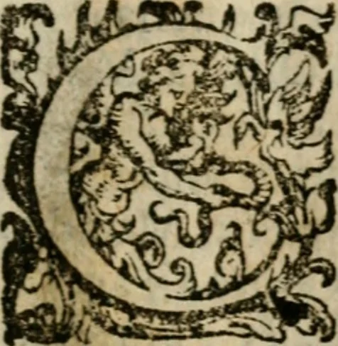 An illustration from Fortezza reale del cuore humano : battuta soauemente, saettata amorosamente, superata gloriosamente, e posseduta & ornata gratiosamente dall' amoroso Giesù : disegnata in figure con alcune brieui ma affettuose meditationi et altri tanti soliloquij, 1628, leaf 28