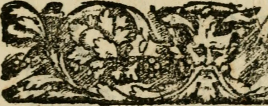 An illustration from Fortezza reale del cuore humano : battuta soauemente, saettata amorosamente, superata gloriosamente, e posseduta & ornata gratiosamente dall' amoroso Giesù : disegnata in figure con alcune brieui ma affettuose meditationi et altri tanti soliloquij, 1628, leaf 42