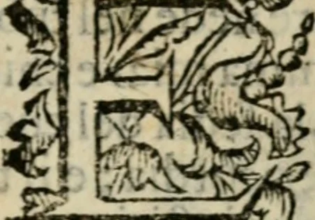 An illustration from Fortezza reale del cuore humano : battuta soauemente, saettata amorosamente, superata gloriosamente, e posseduta & ornata gratiosamente dall' amoroso Giesù : disegnata in figure con alcune brieui ma affettuose meditationi et altri tanti soliloquij, 1628, leaf 52