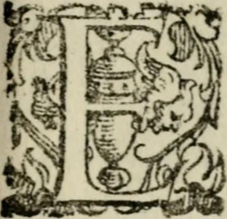 An illustration from Fortezza reale del cuore humano : battuta soauemente, saettata amorosamente, superata gloriosamente, e posseduta & ornata gratiosamente dall' amoroso Giesù : disegnata in figure con alcune brieui ma affettuose meditationi et altri tanti soliloquij, 1628, leaf 86