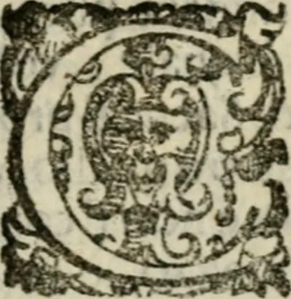 An illustration from Fortezza reale del cuore humano : battuta soauemente, saettata amorosamente, superata gloriosamente, e posseduta & ornata gratiosamente dall' amoroso Giesù : disegnata in figure con alcune brieui ma affettuose meditationi et altri tanti soliloquij, 1628, leaf 90