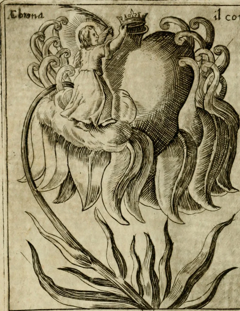 An illustration from Fortezza reale del cuore humano : battuta soauemente, saettata amorosamente, superata gloriosamente, e posseduta & ornata gratiosamente dall' amoroso Giesù : disegnata in figure con alcune brieui ma affettuose meditationi et altri tanti soliloquij, 1628, leaf 97