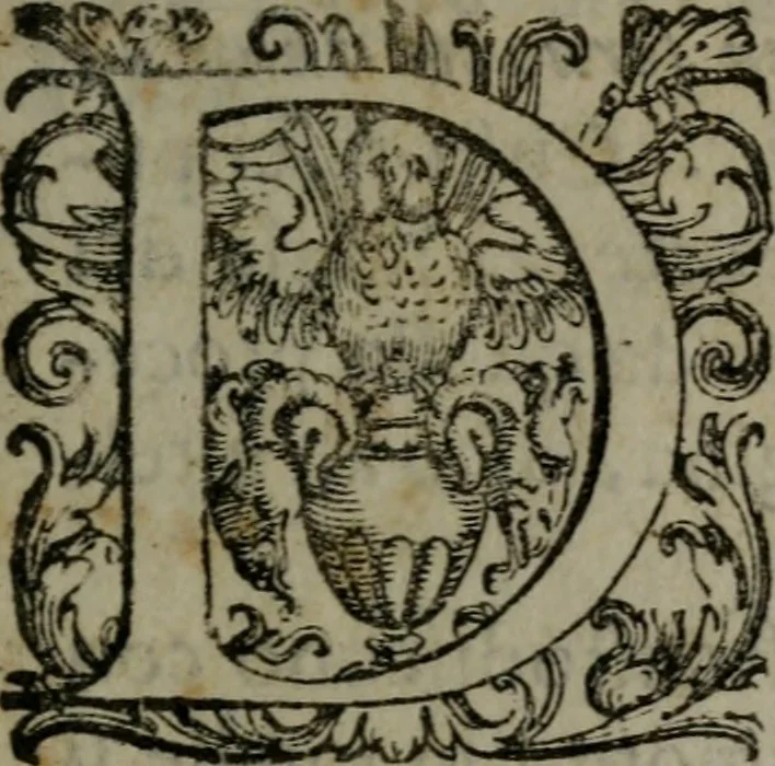 An illustration from Fortezza reale del cuore humano : battuta soauemente, saettata amorosamente, superata gloriosamente, e posseduta & ornata gratiosamente dall' amoroso Giesù : disegnata in figure con alcune brieui ma affettuose meditationi et altri tanti soliloquij, 1628, leaf 10