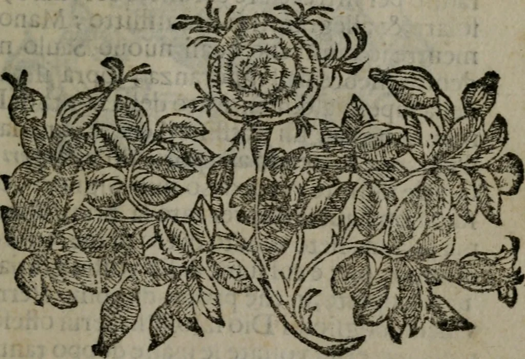 An illustration from Fortezza reale del cuore humano : battuta soauemente, saettata amorosamente, superata gloriosamente, e posseduta & ornata gratiosamente dall' amoroso Giesù : disegnata in figure con alcune brieui ma affettuose meditationi et altri tanti soliloquij, 1628, leaf 100