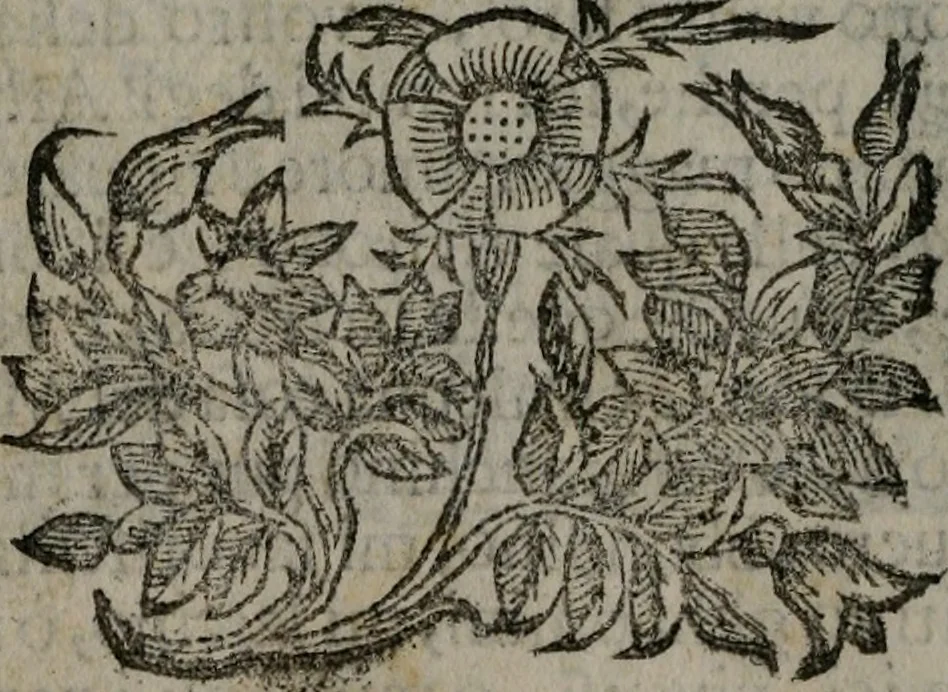 An illustration from Fortezza reale del cuore humano : battuta soauemente, saettata amorosamente, superata gloriosamente, e posseduta & ornata gratiosamente dall' amoroso Giesù : disegnata in figure con alcune brieui ma affettuose meditationi et altri tanti soliloquij, 1628, leaf 111