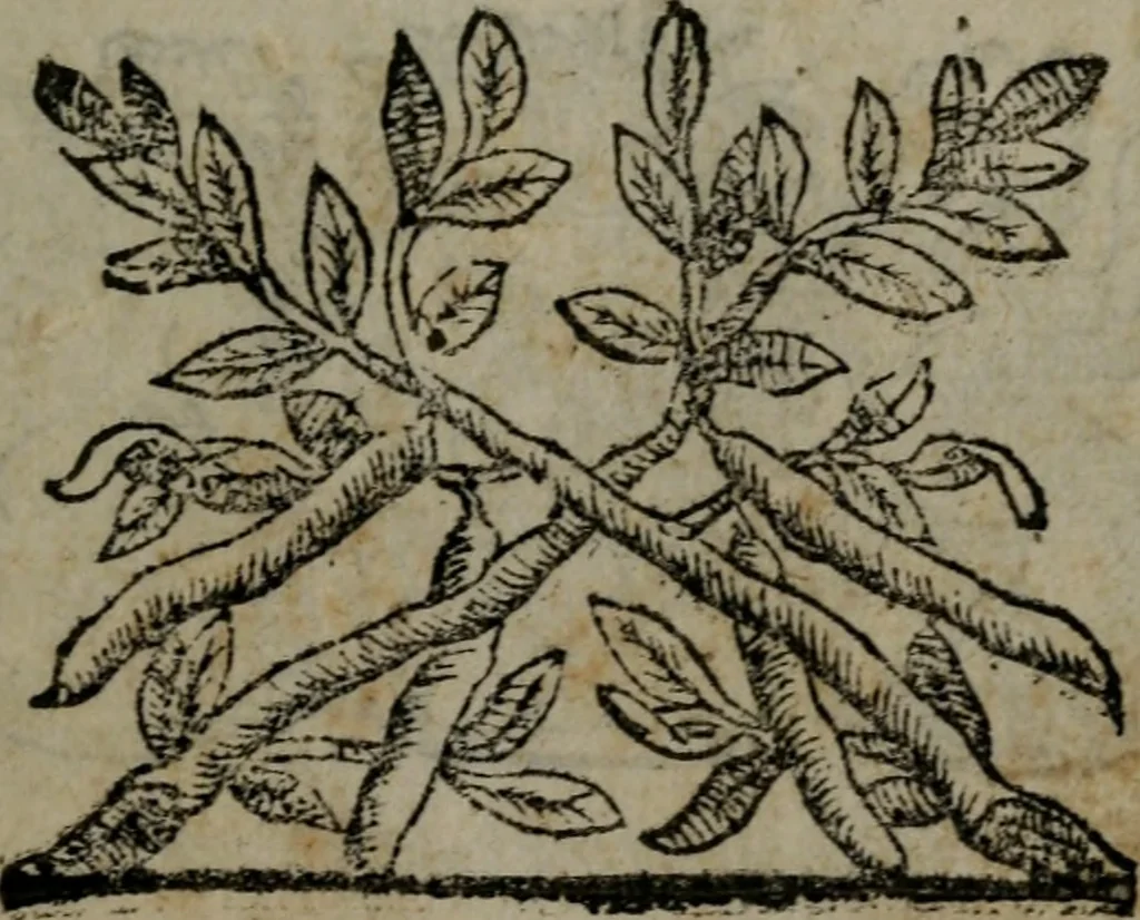 An illustration from Fortezza reale del cuore humano : battuta soauemente, saettata amorosamente, superata gloriosamente, e posseduta & ornata gratiosamente dall' amoroso Giesù : disegnata in figure con alcune brieui ma affettuose meditationi et altri tanti soliloquij, 1628, leaf 28