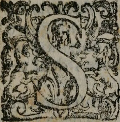 An illustration from Fortezza reale del cuore humano : battuta soauemente, saettata amorosamente, superata gloriosamente, e posseduta & ornata gratiosamente dall' amoroso Giesù : disegnata in figure con alcune brieui ma affettuose meditationi et altri tanti soliloquij, 1628, leaf 29