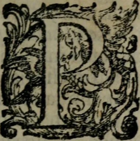 An illustration from Fortezza reale del cuore humano : battuta soauemente, saettata amorosamente, superata gloriosamente, e posseduta & ornata gratiosamente dall' amoroso Giesù : disegnata in figure con alcune brieui ma affettuose meditationi et altri tanti soliloquij, 1628, leaf 44