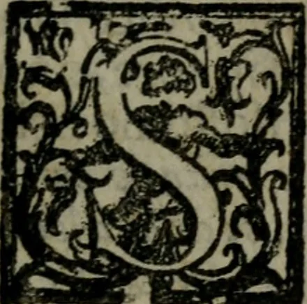 An illustration from Fortezza reale del cuore humano : battuta soauemente, saettata amorosamente, superata gloriosamente, e posseduta & ornata gratiosamente dall' amoroso Giesù : disegnata in figure con alcune brieui ma affettuose meditationi et altri tanti soliloquij, 1628, leaf 56