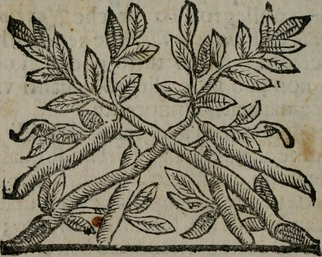 An illustration from Fortezza reale del cuore humano : battuta soauemente, saettata amorosamente, superata gloriosamente, e posseduta & ornata gratiosamente dall' amoroso Giesù : disegnata in figure con alcune brieui ma affettuose meditationi et altri tanti soliloquij, 1628, leaf 59