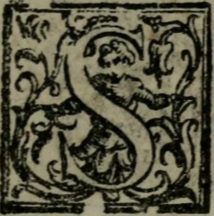 An illustration from Fortezza reale del cuore humano : battuta soauemente, saettata amorosamente, superata gloriosamente, e posseduta & ornata gratiosamente dall' amoroso Giesù : disegnata in figure con alcune brieui ma affettuose meditationi et altri tanti soliloquij, 1628, leaf 76