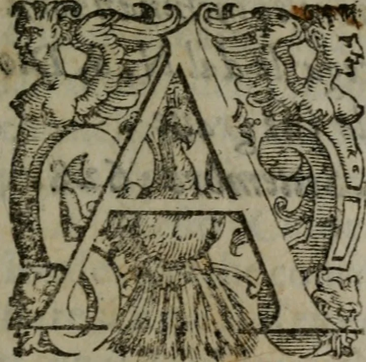 An illustration from Fortezza reale del cuore humano : battuta soauemente, saettata amorosamente, superata gloriosamente, e posseduta & ornata gratiosamente dall' amoroso Giesù : disegnata in figure con alcune brieui ma affettuose meditationi et altri tanti soliloquij, 1628, leaf 8
