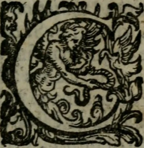An illustration from Fortezza reale del cuore humano : battuta soauemente, saettata amorosamente, superata gloriosamente, e posseduta & ornata gratiosamente dall' amoroso Giesù : disegnata in figure con alcune brieui ma affettuose meditationi et altri tanti soliloquij, 1628, leaf 80