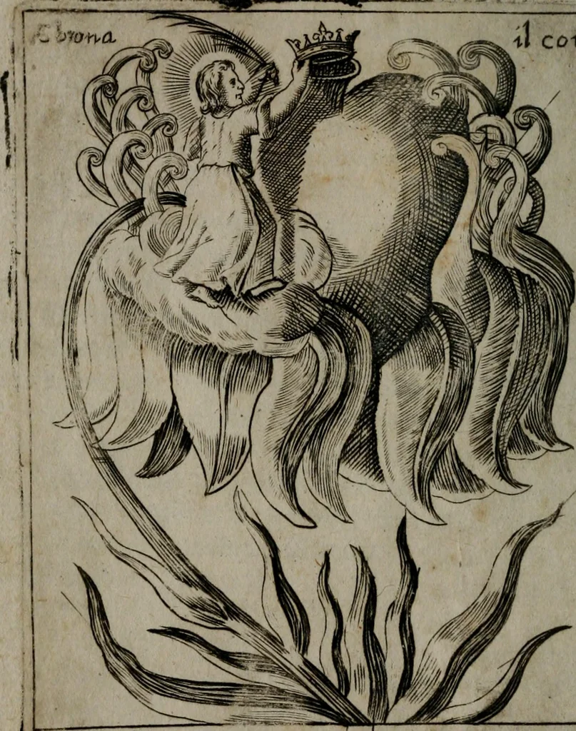 An illustration from Fortezza reale del cuore humano : battuta soauemente, saettata amorosamente, superata gloriosamente, e posseduta & ornata gratiosamente dall' amoroso Giesù : disegnata in figure con alcune brieui ma affettuose meditationi et altri tanti soliloquij, 1628, leaf 95