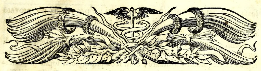 An illustration from Fortificazione a rovescio, 1678, leaf 17