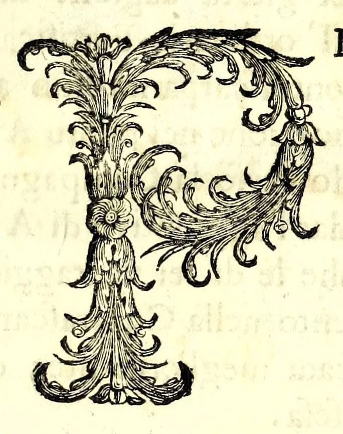 An illustration from Fortificazione a rovescio, 1678, leaf 17