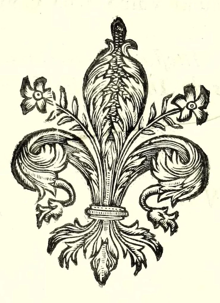 An illustration from Fortificazione a rovescio, 1678, leaf 229