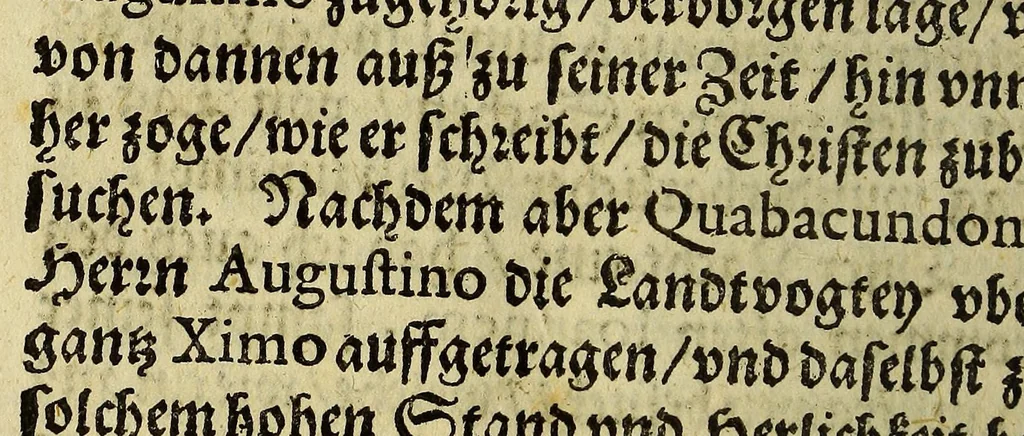 An illustration from Fortsetzung der Zeytungen und historischen Berichts auss den fürtrefflichen unnd weitbarümbten Japonischen und Chinesischen Königreichen und Landen, wie auch beydes, so wol auss den Orientalischen als Occidentalischen Indian ., 1593, leaf 256