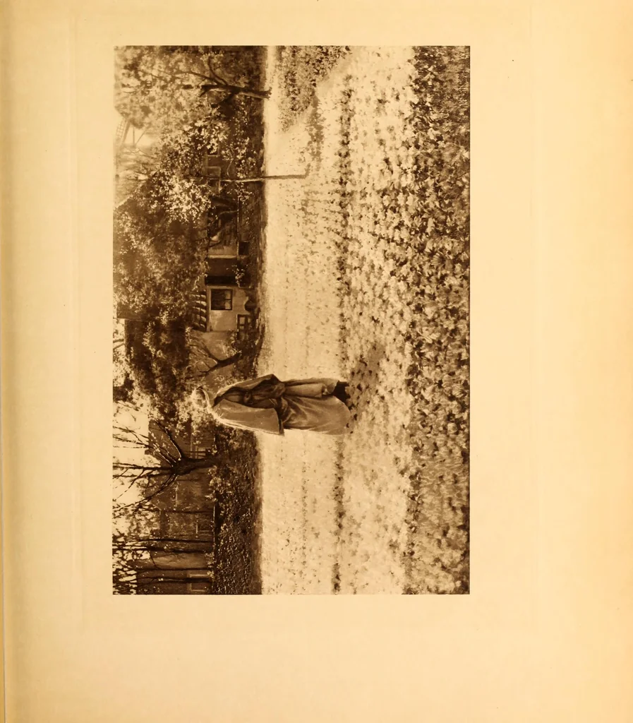 An illustration from Fort Tryon Hall, the residence of C.K G. Billings, esq. : a descriptive and illustrated catalogue, 1911, leaf 190