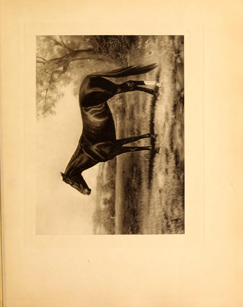 An illustration from Fort Tryon Hall, the residence of C.K G. Billings, esq. : a descriptive and illustrated catalogue, 1911, leaf 373