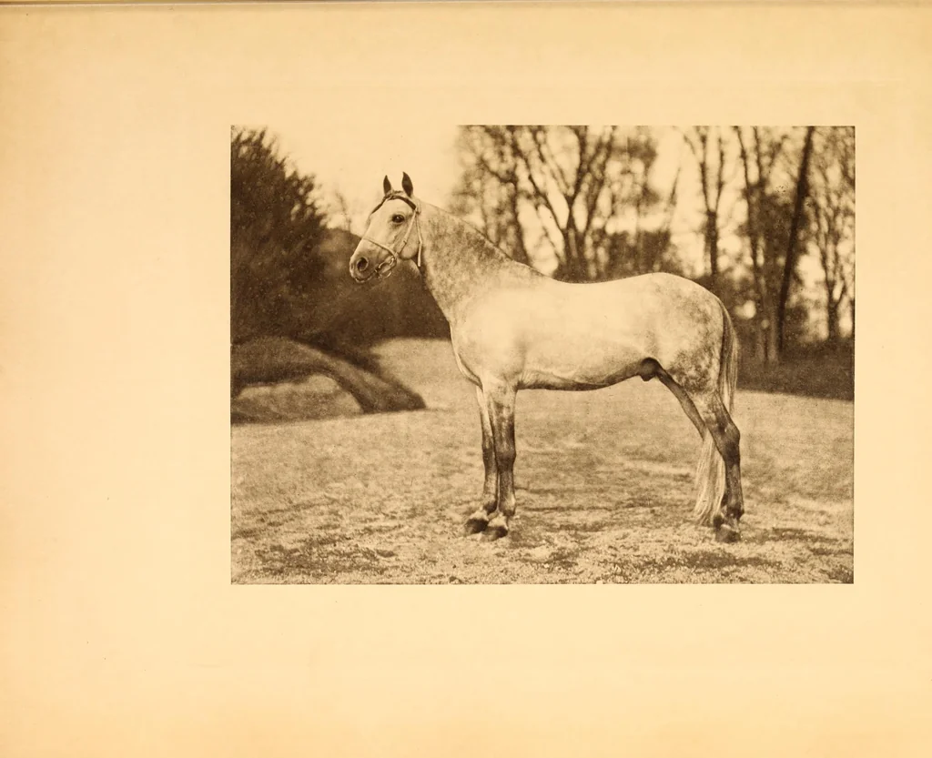 An illustration from Fort Tryon Hall, the residence of C.K G. Billings, esq. : a descriptive and illustrated catalogue, 1911, leaf 393