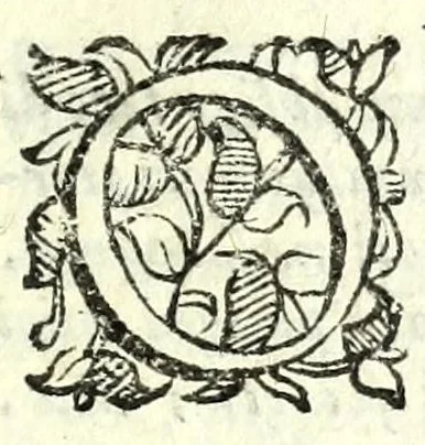 An illustration from Fortvnio : comedia nuoua, 1593, leaf 17