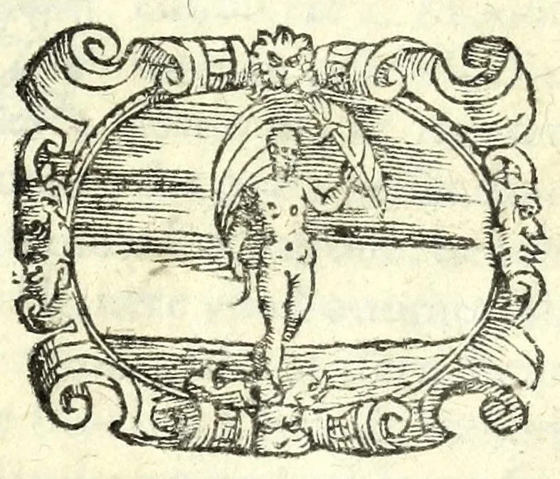 An illustration from Fortvnio : comedia nuoua, 1593, leaf 5