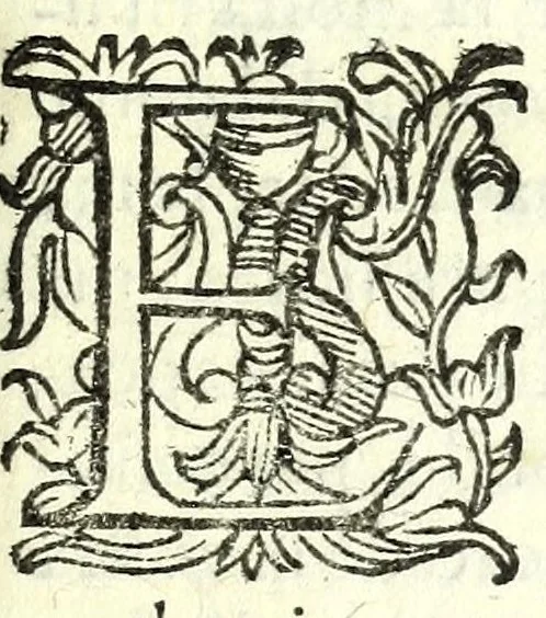 An illustration from Fortvnio : comedia nuoua, 1593, leaf 7