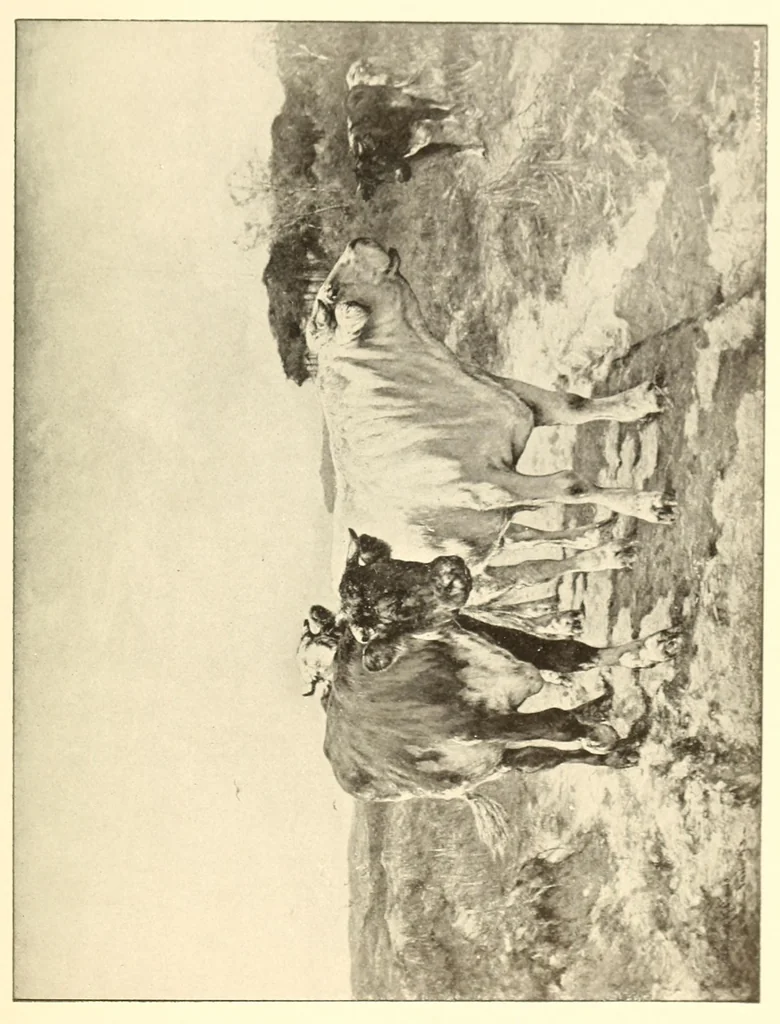 An illustration from Forty works of art from the sixty-third annual exhibition of the Academy of The Fine Arts : held at Philadelphia, Dec. 18, 1893 to Feb. 24, 1894, 1894, leaf 57