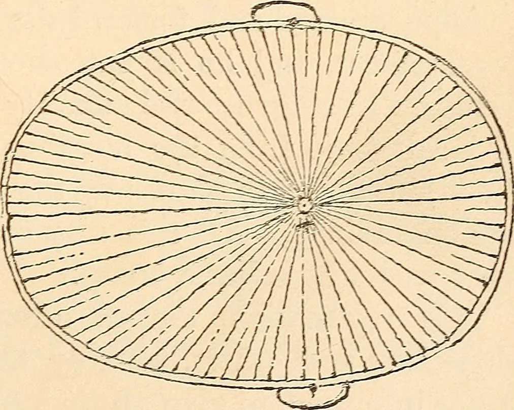 An illustration from Forty years in phrenology; embracing recollections of history, anecdote, and experience, 1888, leaf 391