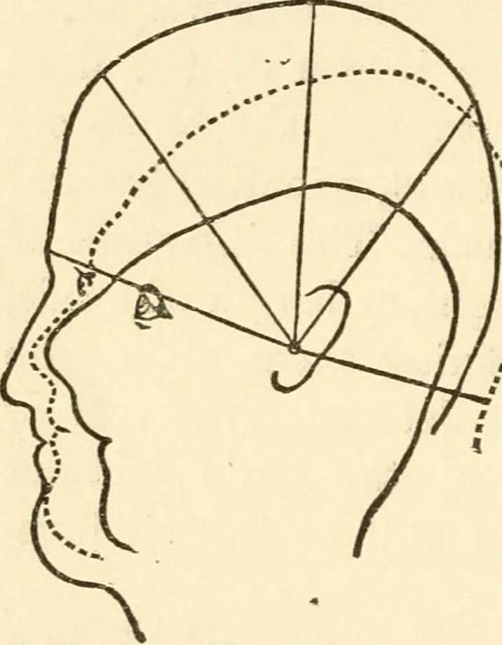 An illustration from Forty years in phrenology; embracing recollections of history, anecdote, and experience, 1888, leaf 394