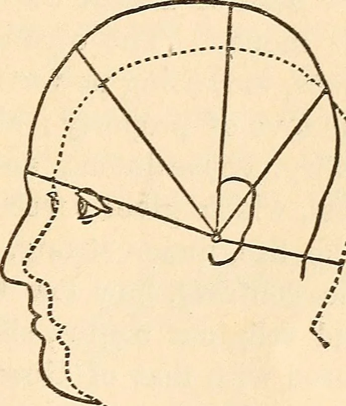 An illustration from Forty years in phrenology; embracing recollections of history, anecdote, and experience, 1888, leaf 395