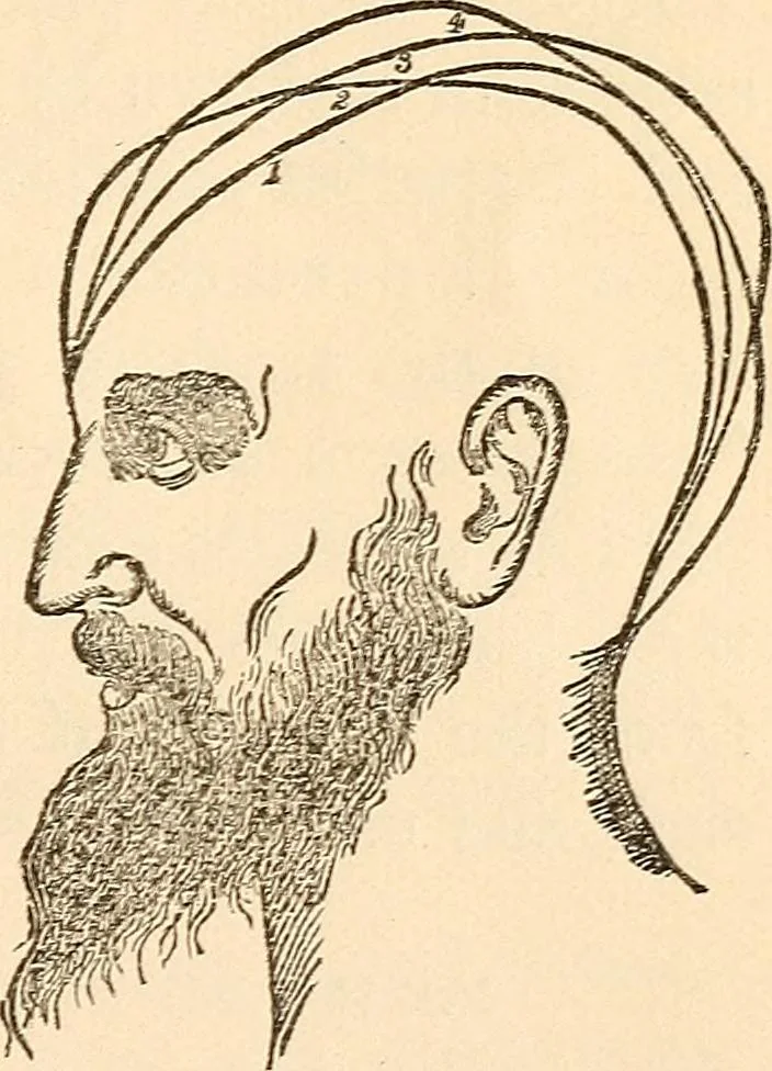 An illustration from Forty years in phrenology; embracing recollections of history, anecdote, and experience, 1888, leaf 397