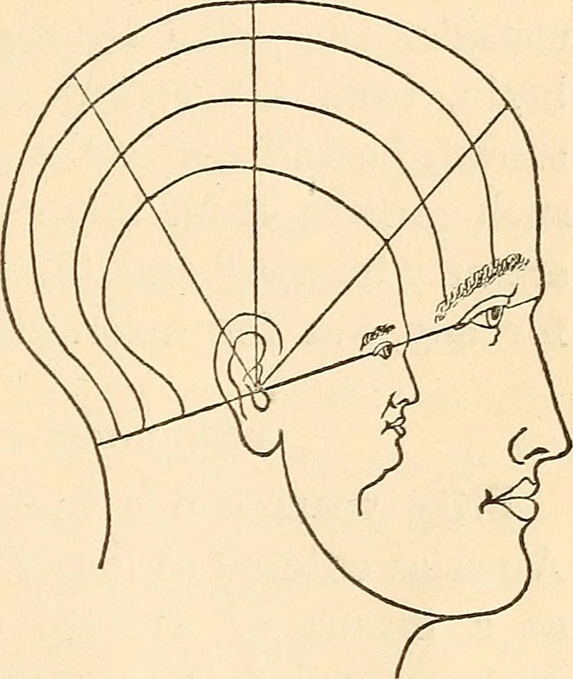 An illustration from Forty years in phrenology; embracing recollections of history, anecdote, and experience, 1888, leaf 399