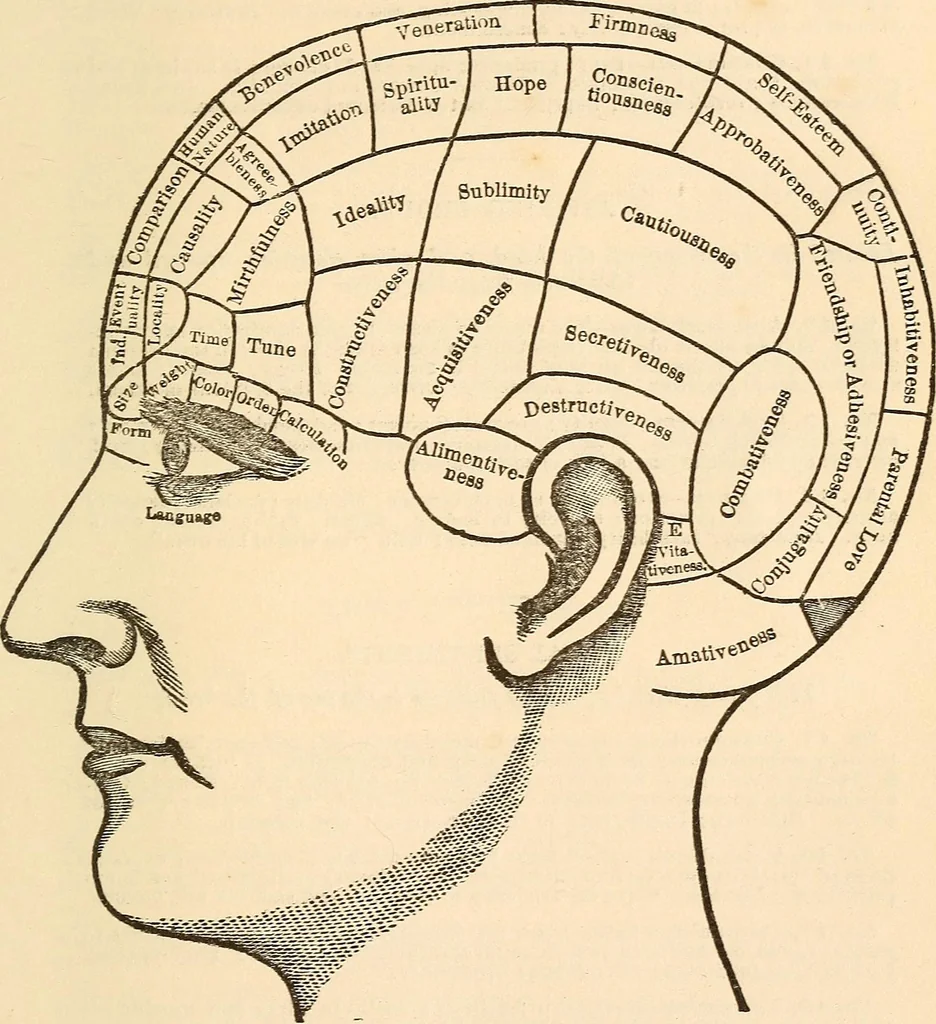 An illustration from Forty years in phrenology; embracing recollections of history, anecdote, and experience, 1888, leaf 411