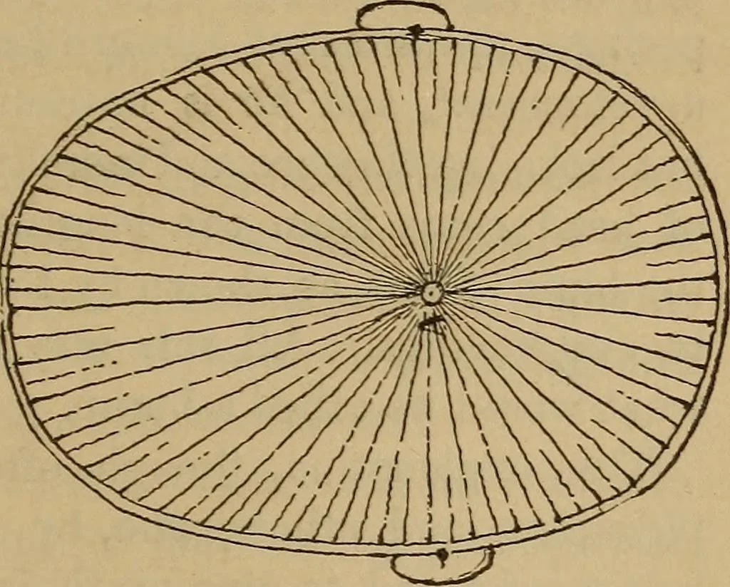 An illustration from Forty years in phrenology; embracing recollections of history, anecdote, and experience, 1882, leaf 392