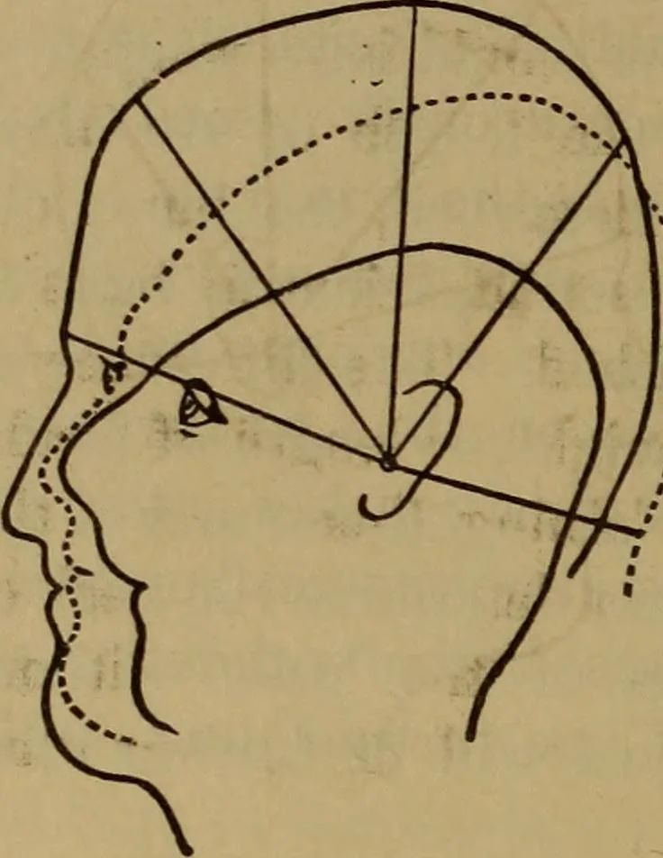 An illustration from Forty years in phrenology; embracing recollections of history, anecdote, and experience, 1882, leaf 395