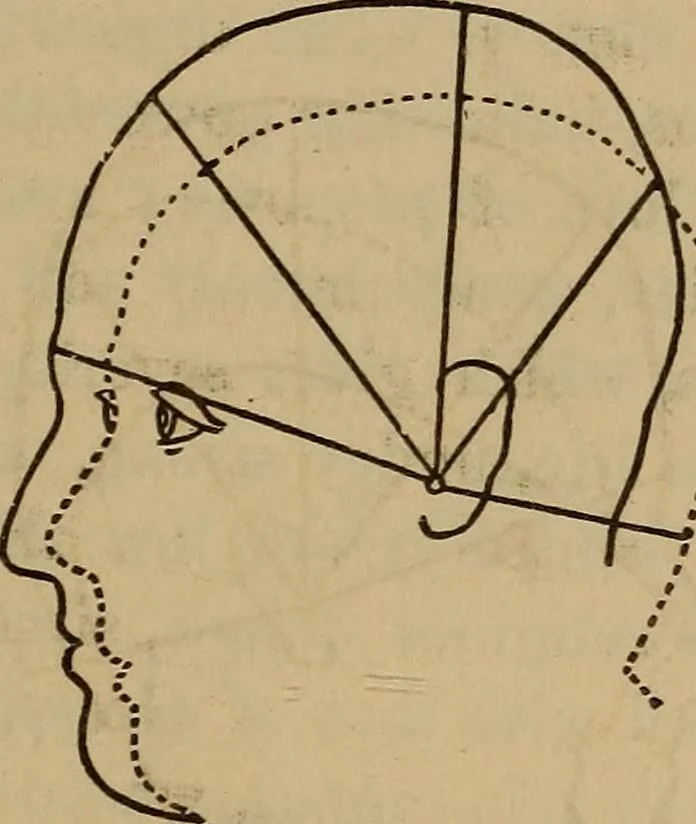 An illustration from Forty years in phrenology; embracing recollections of history, anecdote, and experience, 1882, leaf 396