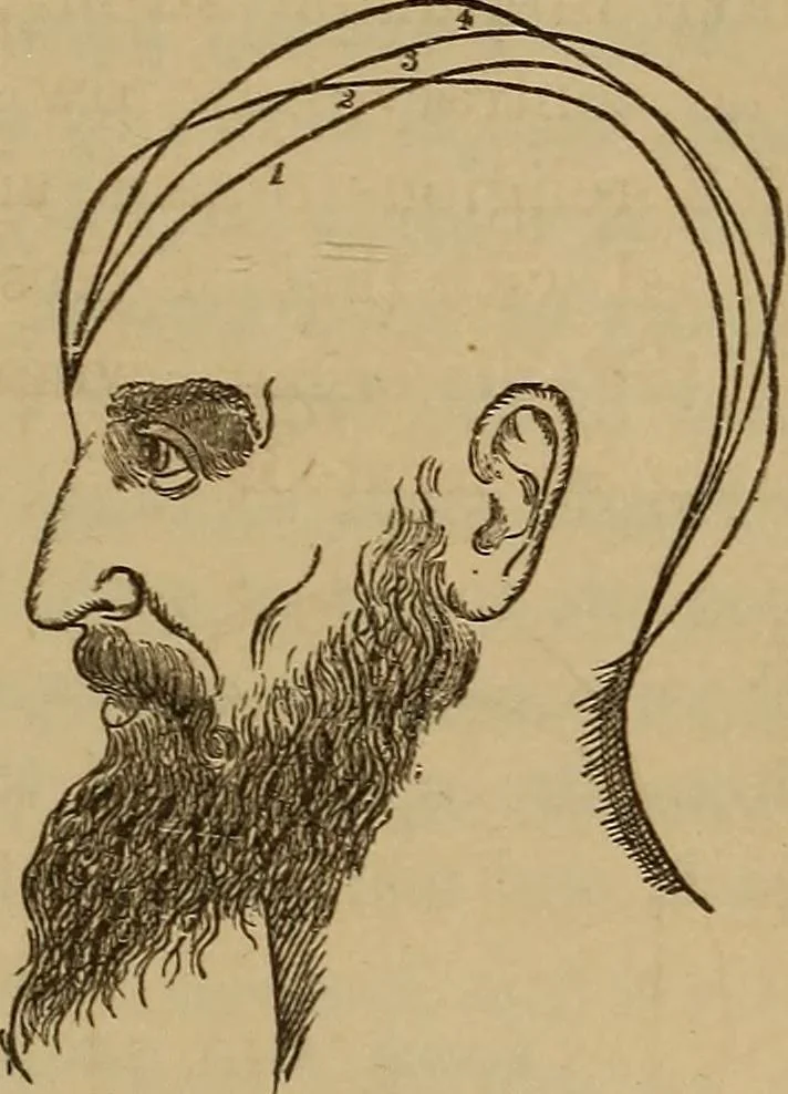 An illustration from Forty years in phrenology; embracing recollections of history, anecdote, and experience, 1882, leaf 398