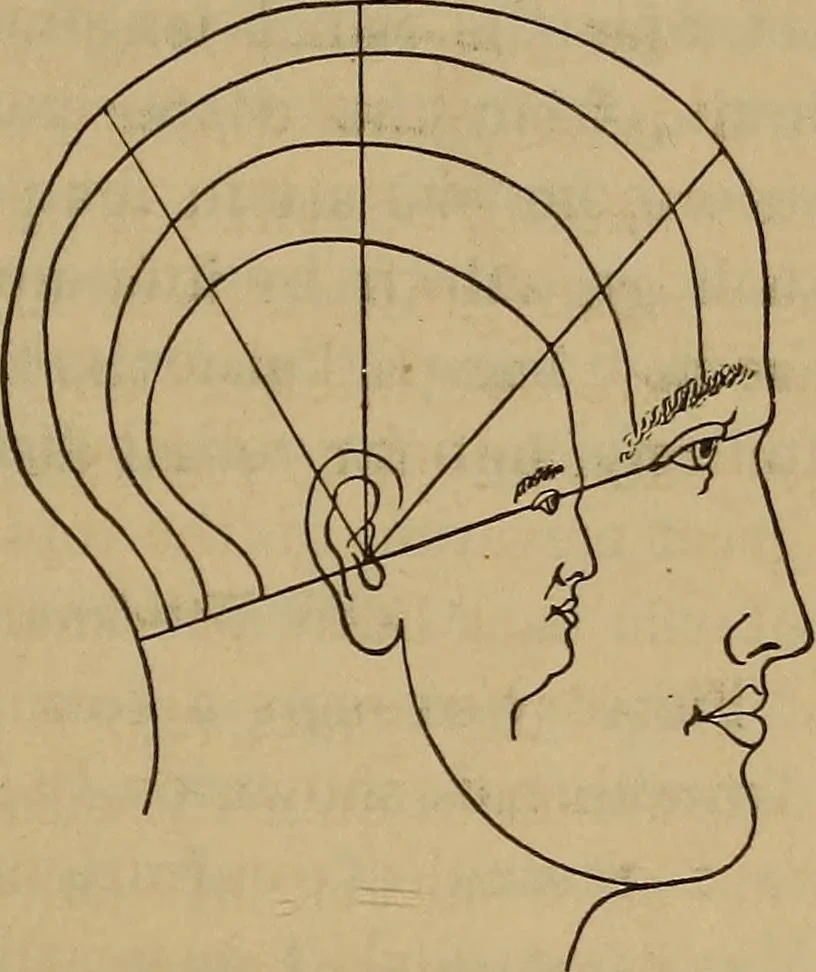 An illustration from Forty years in phrenology; embracing recollections of history, anecdote, and experience, 1882, leaf 400