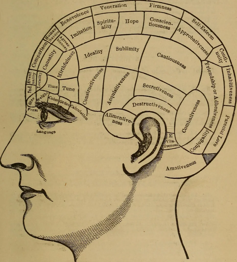 An illustration from Forty years in phrenology; embracing recollections of history, anecdote, and experience, 1882, leaf 412